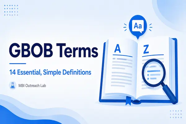 gbob terms